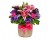 Kelvin Hall Floral Designs - Image 4