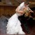 Wedding Dance Lessons Sydney