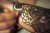Melbourne Henna - Image 3