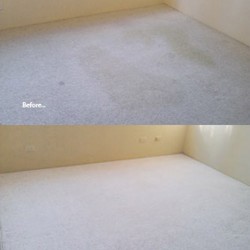Carpet before and after
