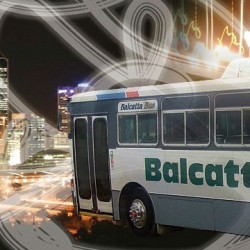 Balcattus Bus_Images
