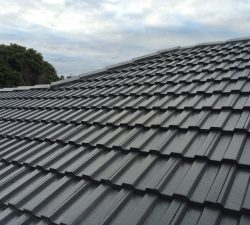 Roof Painting and Sealingfinal