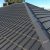 Roof Painting and Sealingfin