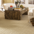 home_carpet_cleaning