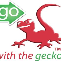 Go With The Gecko Logo