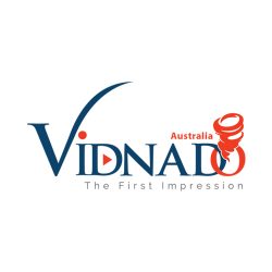 logo avatar Vidnado