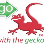 Profile picture of Go With The Gecko